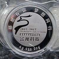 廣東深圳富視科技5周年銀章_ 紀(jì)念章制作 紀(jì)念章制作 定制紀(jì)念章  周年慶典