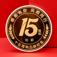 浙江杭州博地控股工齡紀(jì)念章_ 銀章制作 紀(jì)念章制作 紀(jì)念章定制 金銀章定制 激光